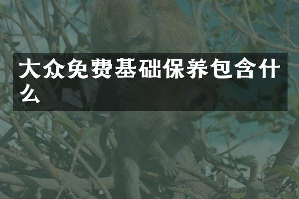 大众免费基础保养包含什么