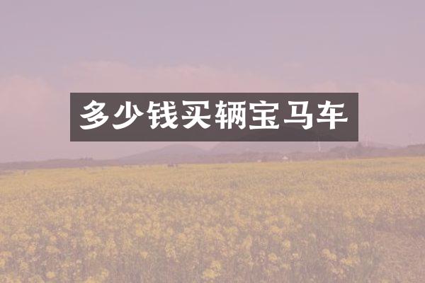 多少钱买辆宝马车