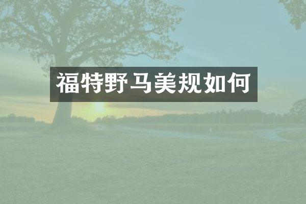福特野马美规如何