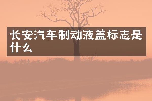 长安汽车制动液盖标志是什么