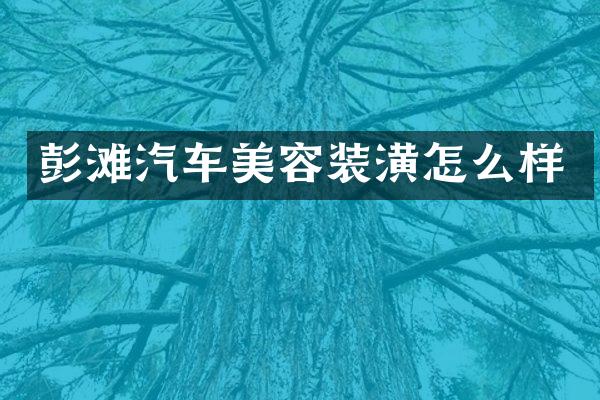 彭滩汽车美容装潢怎么样