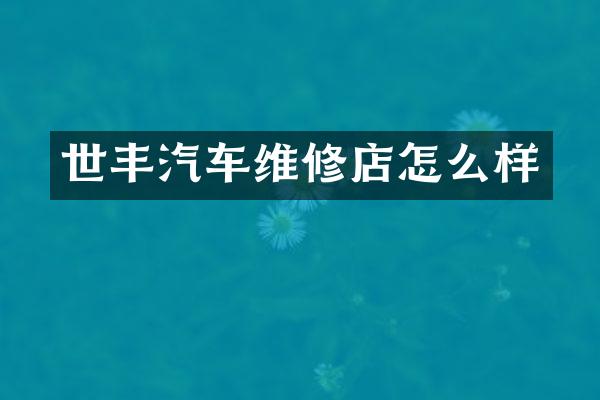 世丰汽车维修店怎么样