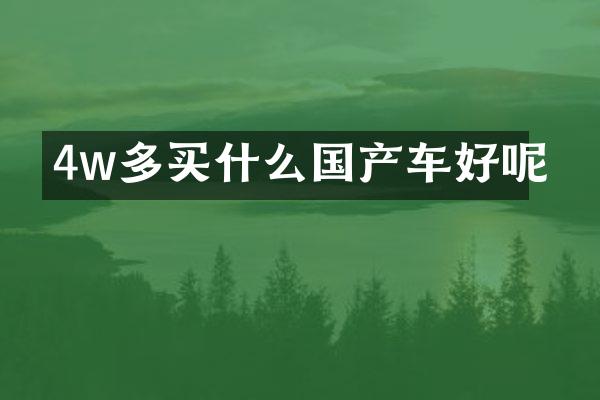 4w多买什么国产车好呢