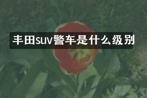 丰田suv警车是什么级别