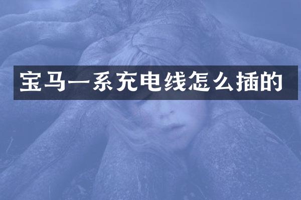 宝马一系充电线怎么插的