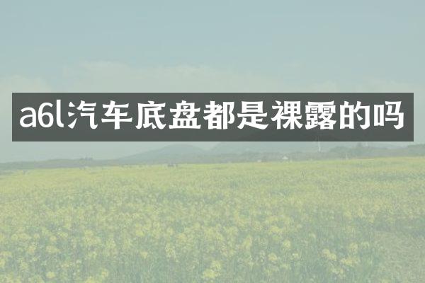 a6l汽车底盘都是裸露的吗