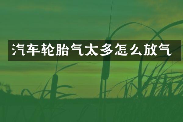 汽车轮胎气太多怎么放气