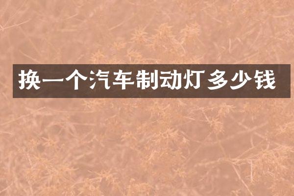 换一个汽车制动灯多少钱