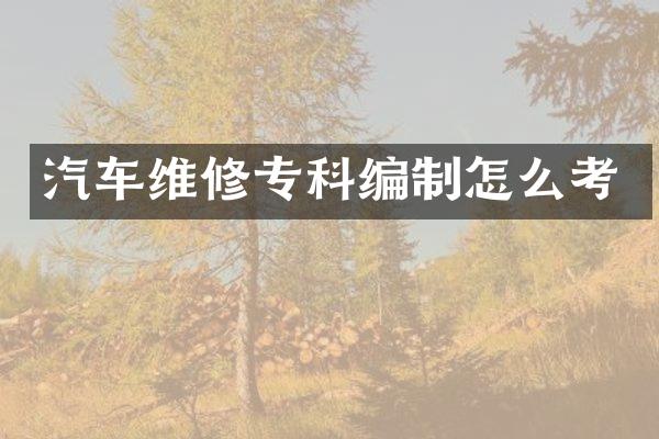 汽车维修专科编制怎么考