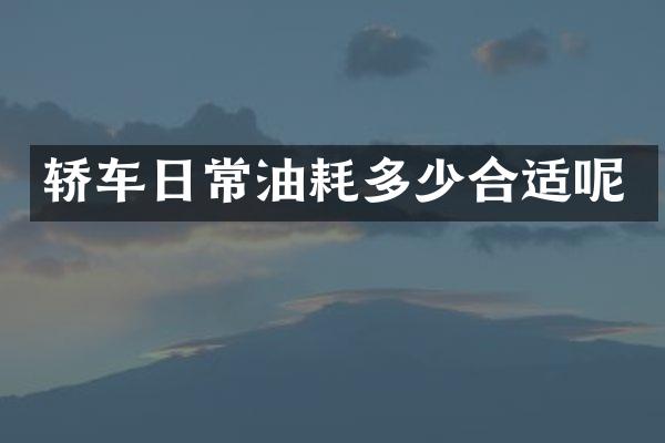 轿车日常油耗多少合适呢