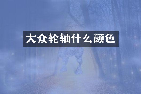 大众轮轴什么颜色