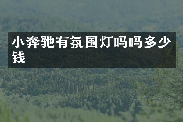 小奔驰有氛围灯吗吗多少钱