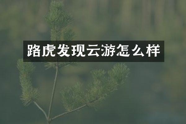 路虎发现云游怎么样