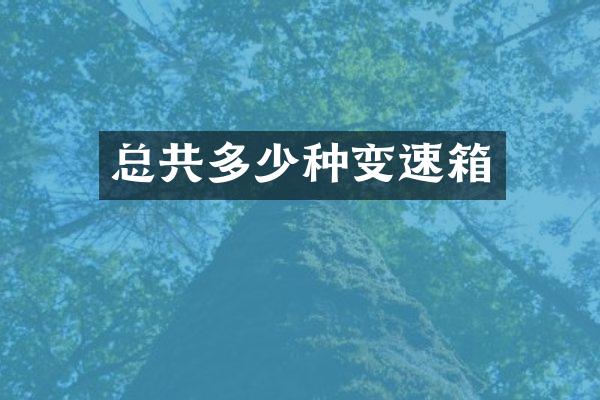 总共多少种变速箱
