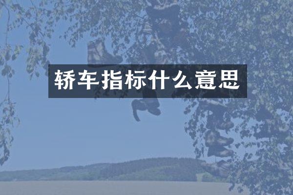 轿车指标什么意思