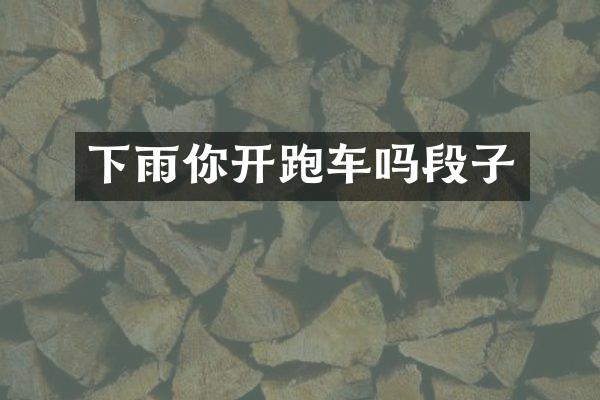 下雨你开跑车吗段子