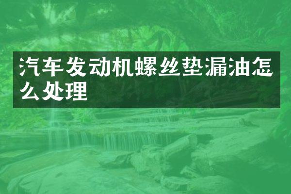 汽车发动机螺丝垫漏油怎么处理