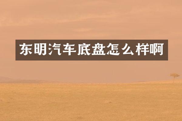 东明汽车底盘怎么样啊