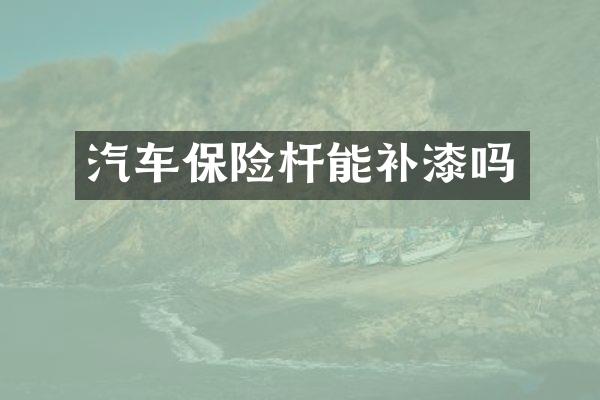 汽车保险杆能补漆吗