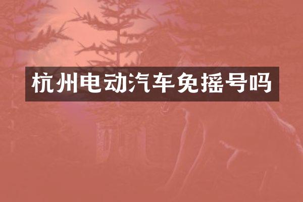 杭州电动汽车免摇号吗