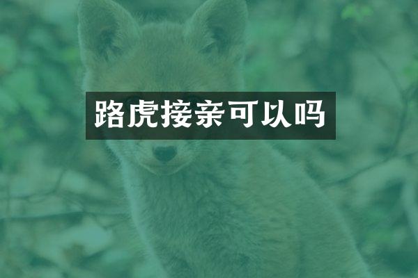 路虎接亲可以吗