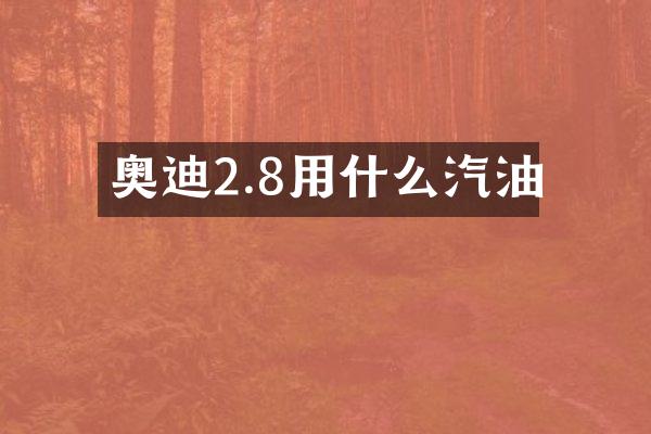 奥迪2.8用什么汽油