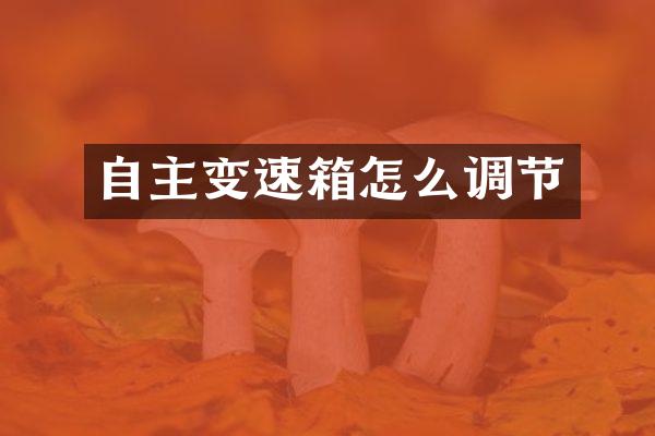 自主变速箱怎么调节