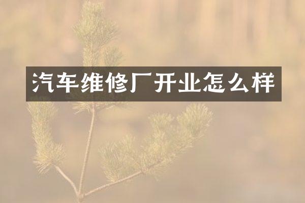汽车维修厂开业怎么样
