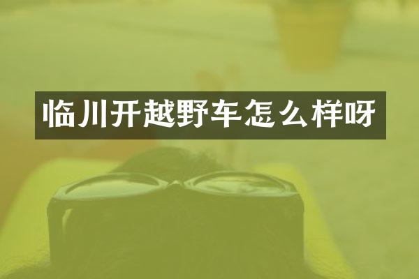临川开越野车怎么样呀