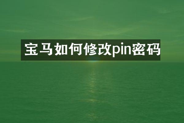 宝马如何修改pin密码