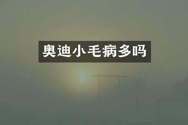 奥迪小毛病多吗