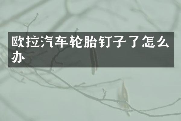 欧拉汽车轮胎钉子了怎么办