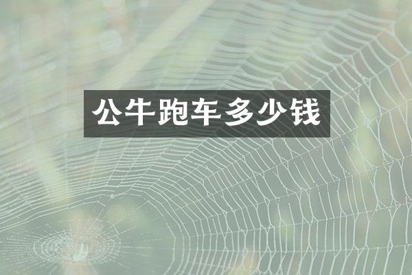 公牛跑车多少钱