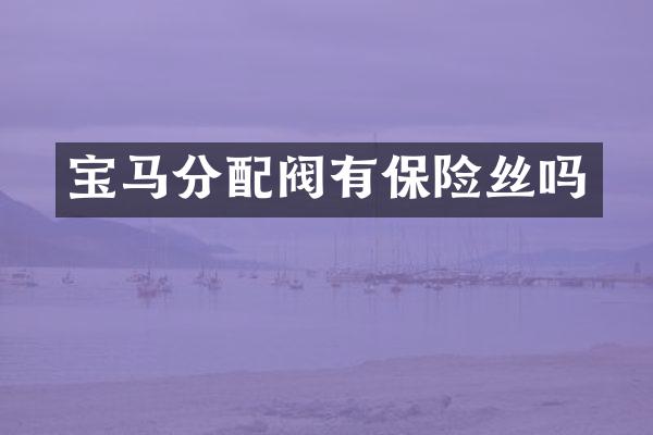 宝马分配阀有保险丝吗
