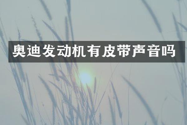 奥迪发动机有皮带声音吗