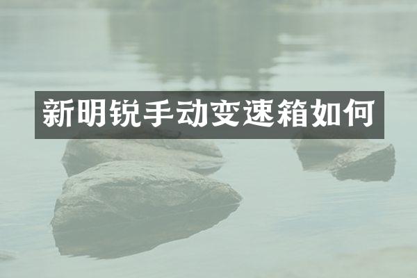 新明锐手动变速箱如何