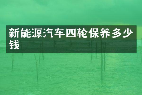 新能源汽车四轮保养多少钱