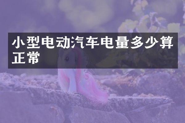 小型电动汽车电量多少算正常