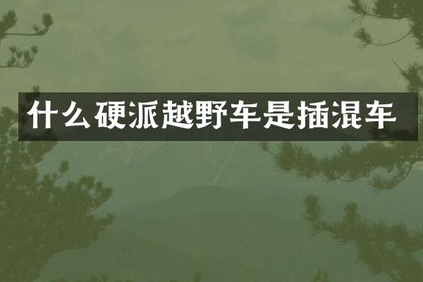 什么硬派越野车是插混车