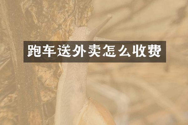 跑车送外卖怎么收费