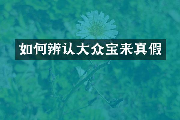 如何辨认大众宝来真假
