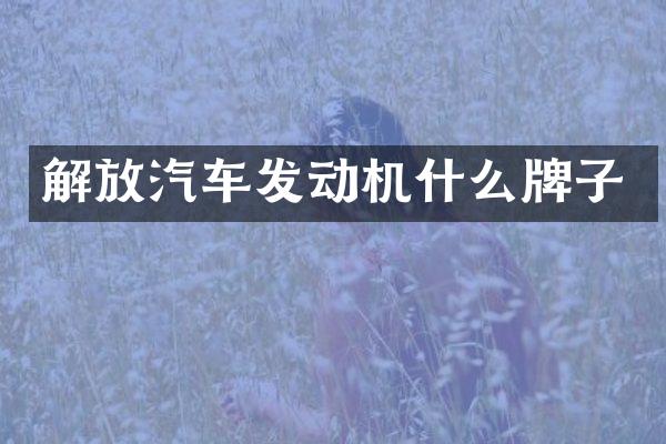 解放汽车发动机什么牌子