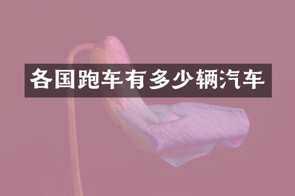 各国跑车有多少辆汽车