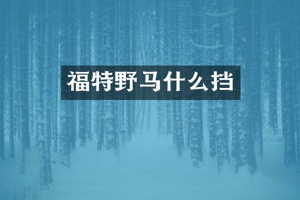福特野马什么挡