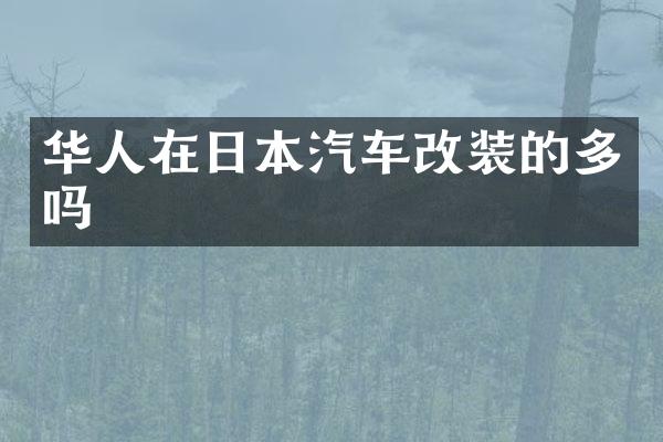 华人在日本汽车改装的多吗