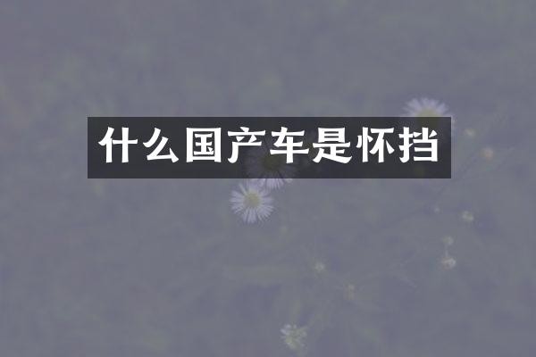 什么国产车是怀挡