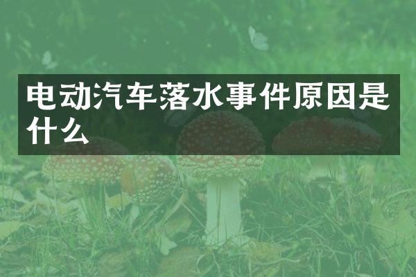 电动汽车落水事件原因是什么