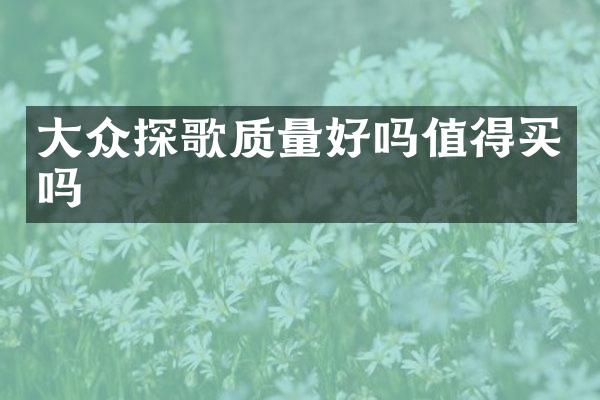大众探歌质量好吗值得买吗