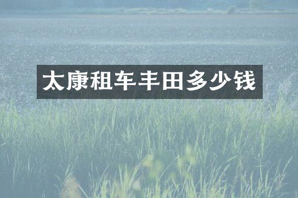 太康租车丰田多少钱