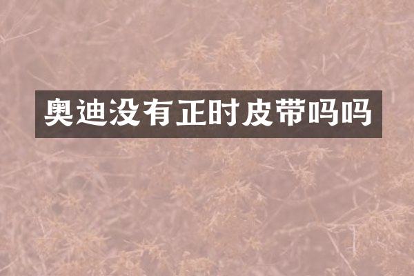 奥迪没有正时皮带吗吗